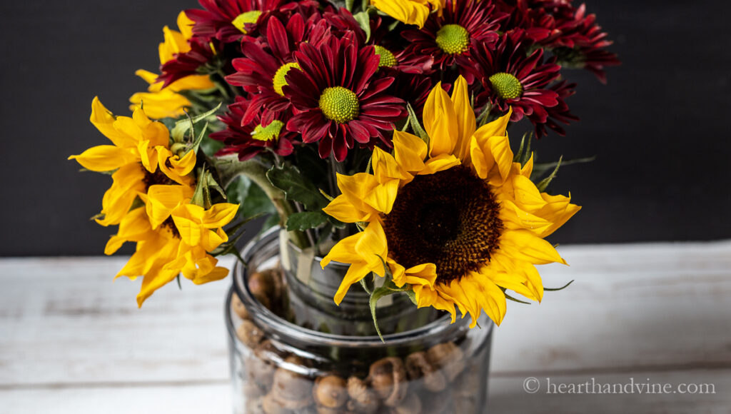 Side view of acorn vase with sunflowers, and dark red colored daisies.