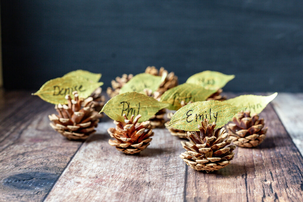 Name place cards on pinecones made from gold painted leaves.