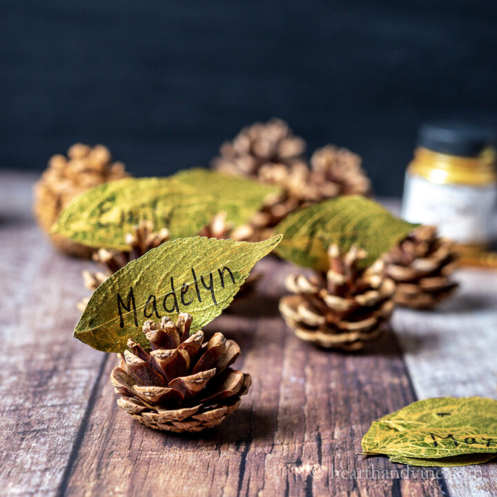 Small pine cones with gold painted leaves and names printed on the for leaf place cards.