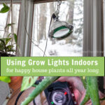 Grow light from a clamp above an electrical timer.