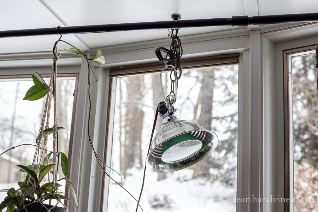 8.5 inch clamp light with plant grow bulb hanging from a hook on the ceiling.