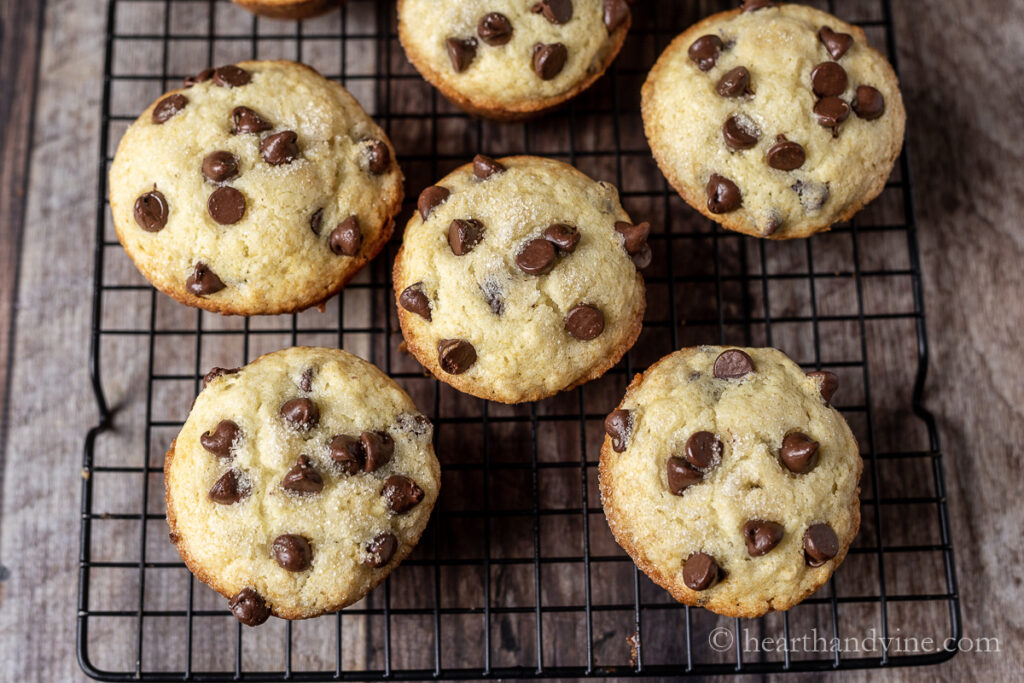 Moist chocolate chip muffins on a cooling rack.