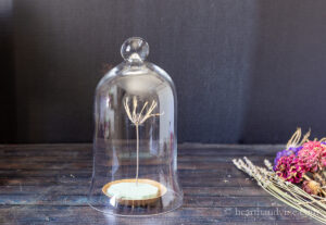 Glass Cloche Decorating Ideas with Dried Flowers | Hearth and Vine