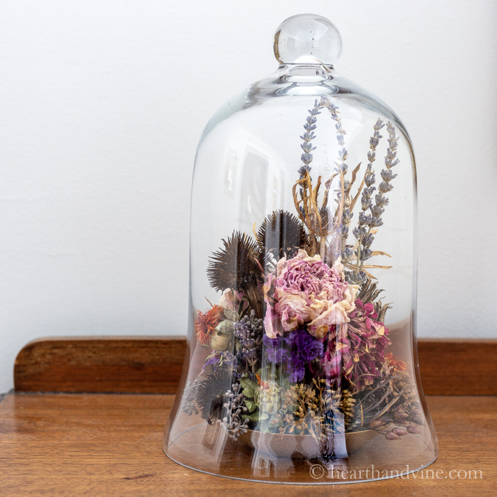 Glass cloche decorating ideas with a dried flower arrangement.