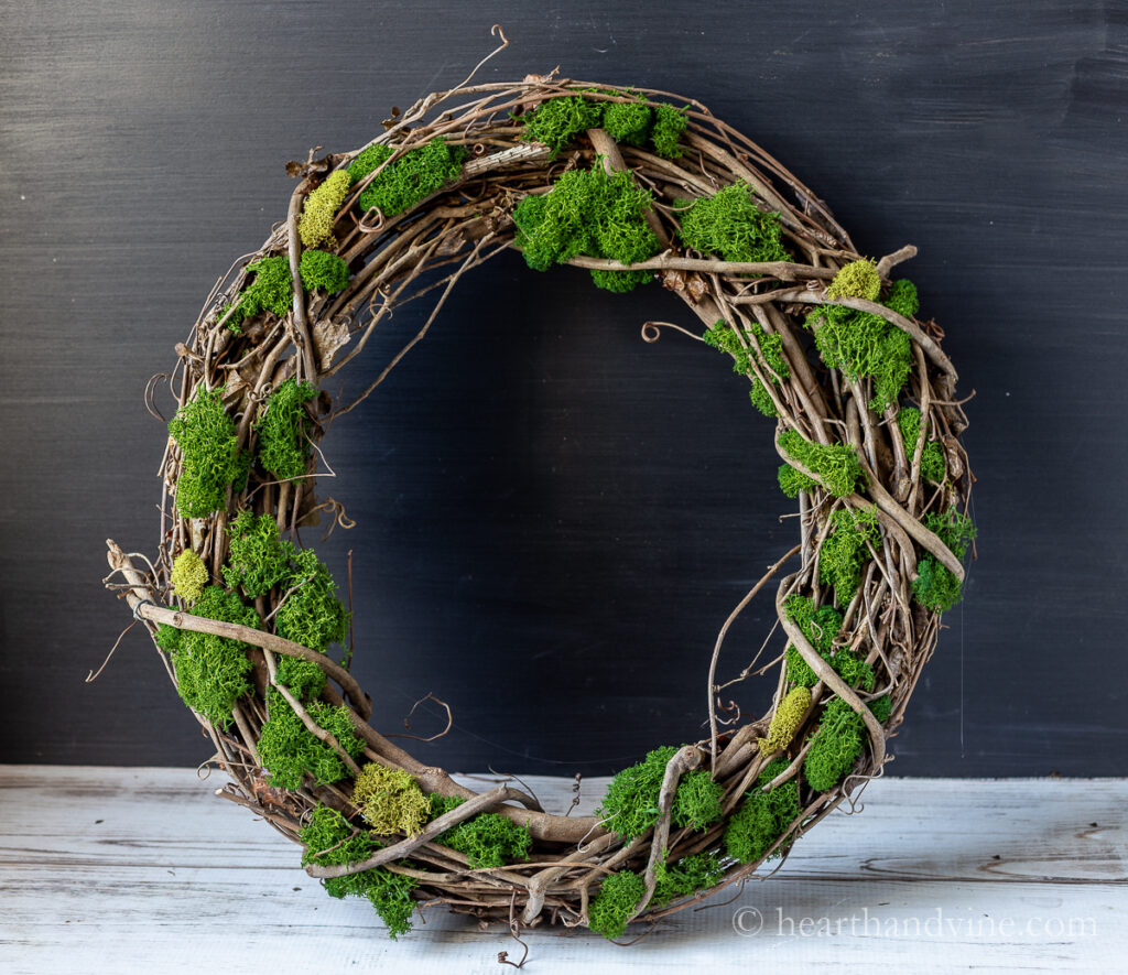 Grapevine wreath with dark and light green reindeer moss on it.