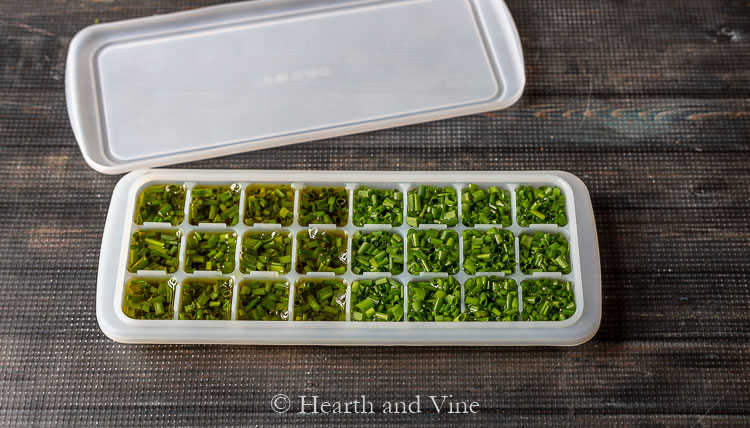 Chives in small ice cube trays in oil.