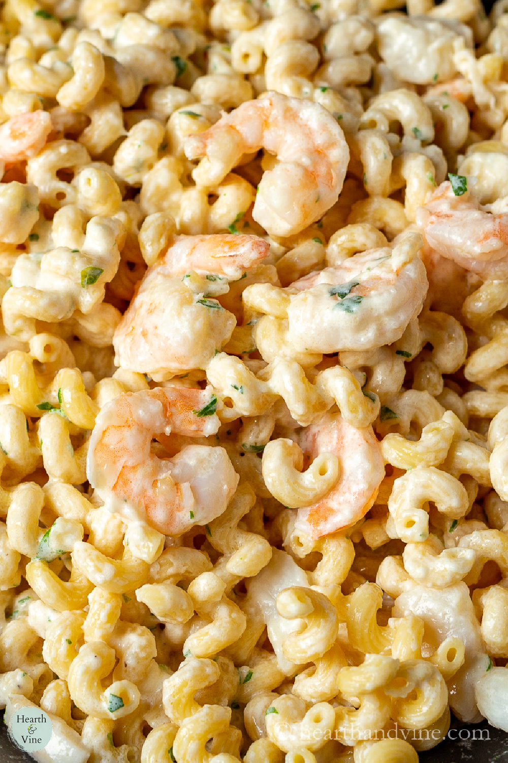 Seafood Alfredo Pasta with Shrimp and Scallops Hearth and Vine