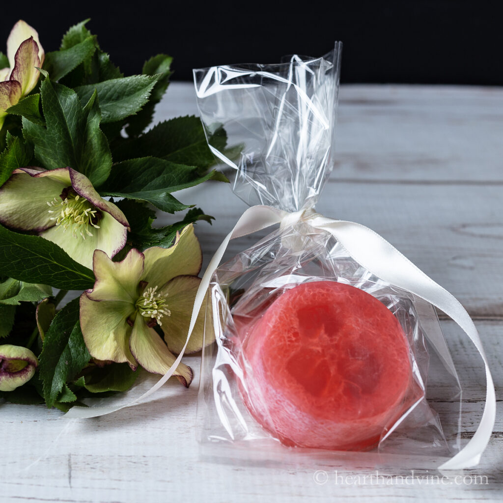 Pink round loofah soap in a clear bag tied with a ribbon.