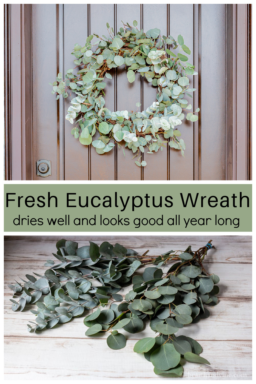 DIY Eucalyptus Wreath with Fresh Leaves Hearth and Vine