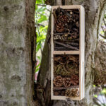 Homemade bug house on a tree