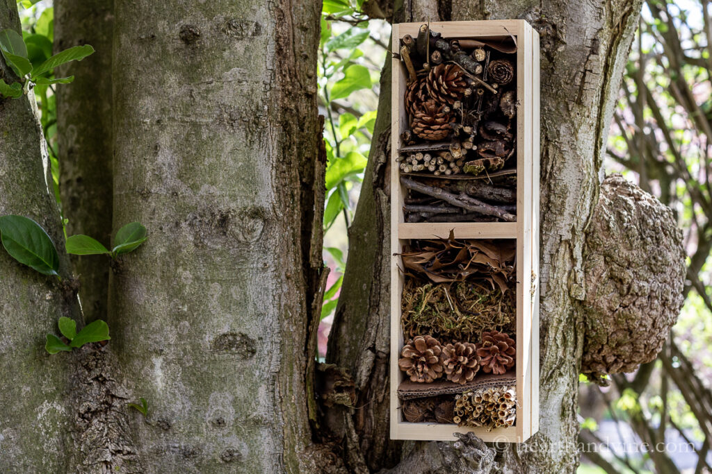 A vertical wooden crate made into an insect house with materials from the yard like sticks, dried leaves, seed heads and moss.