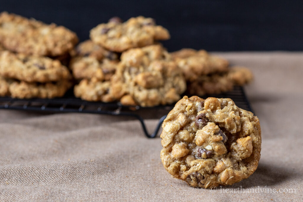 Oatmeal butterscotch cookies with chocolate chips added in.