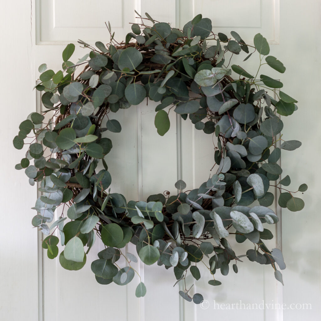 Fresh eucalyptus leaves on grapevine wreath on a white door.