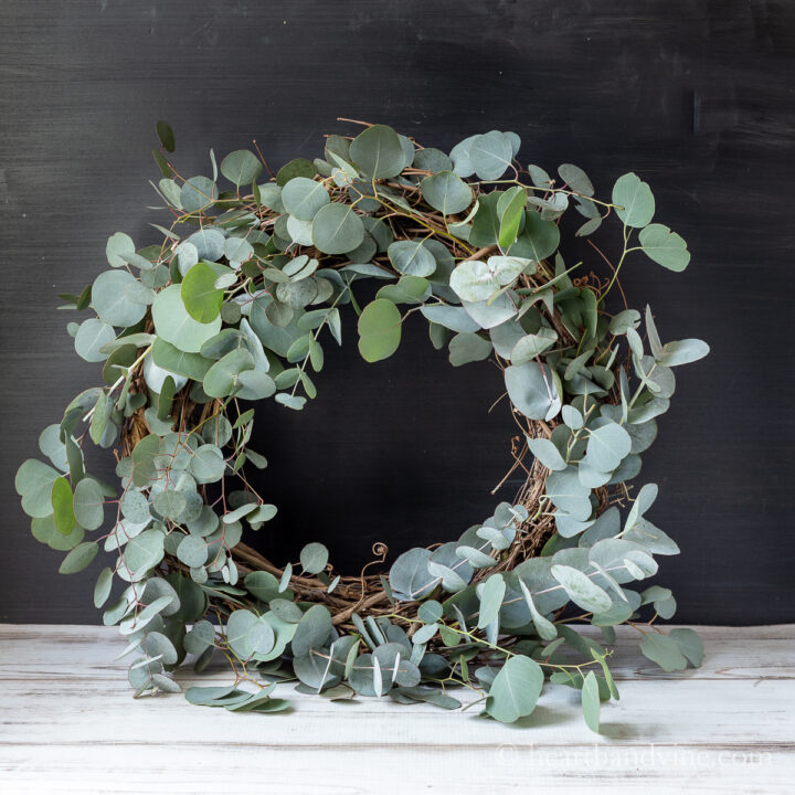 DIY Eucalyptus Wreath with Fresh Leaves Hearth and Vine
