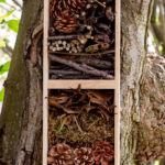 A homemade insect house hanging on a tree trunk.