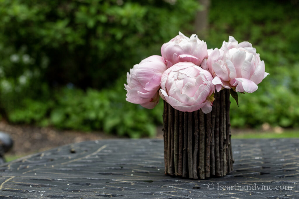 Twig vase holding peonies outdoors on a table.