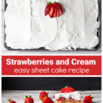 Sheet cake with strawberries and cream over an individual slice of the same cake with strawberries all around.