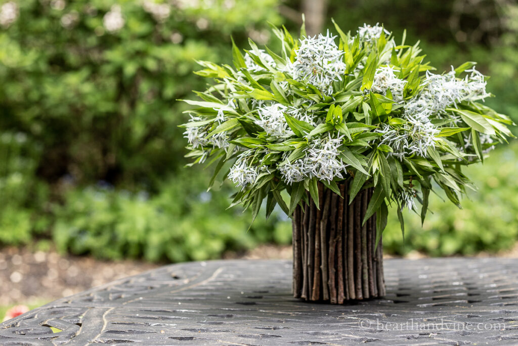 Light blue amsonia in a twig vase on a patio table.