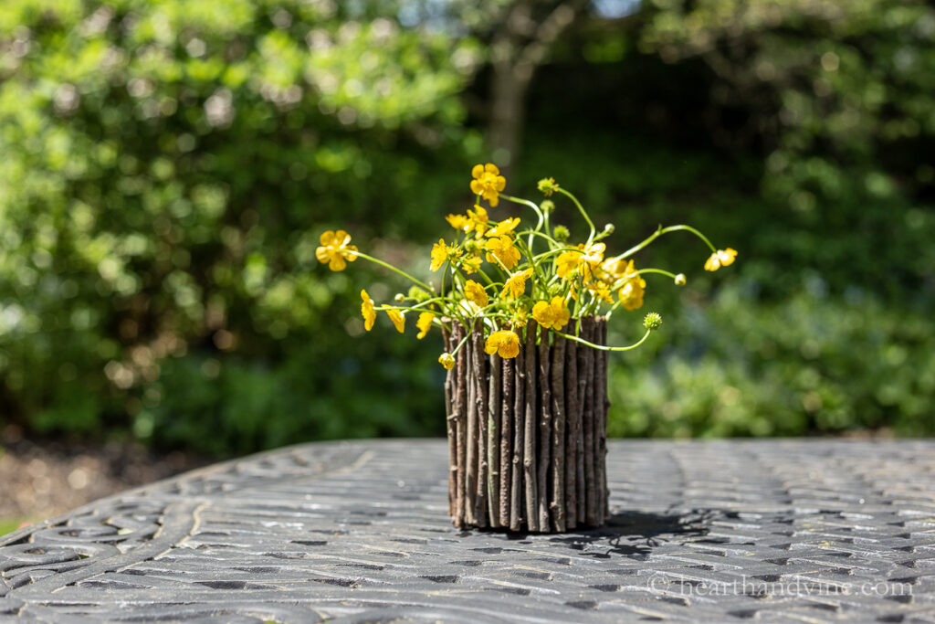 Wild golden buttercups in a twig vase on an outdoor table.