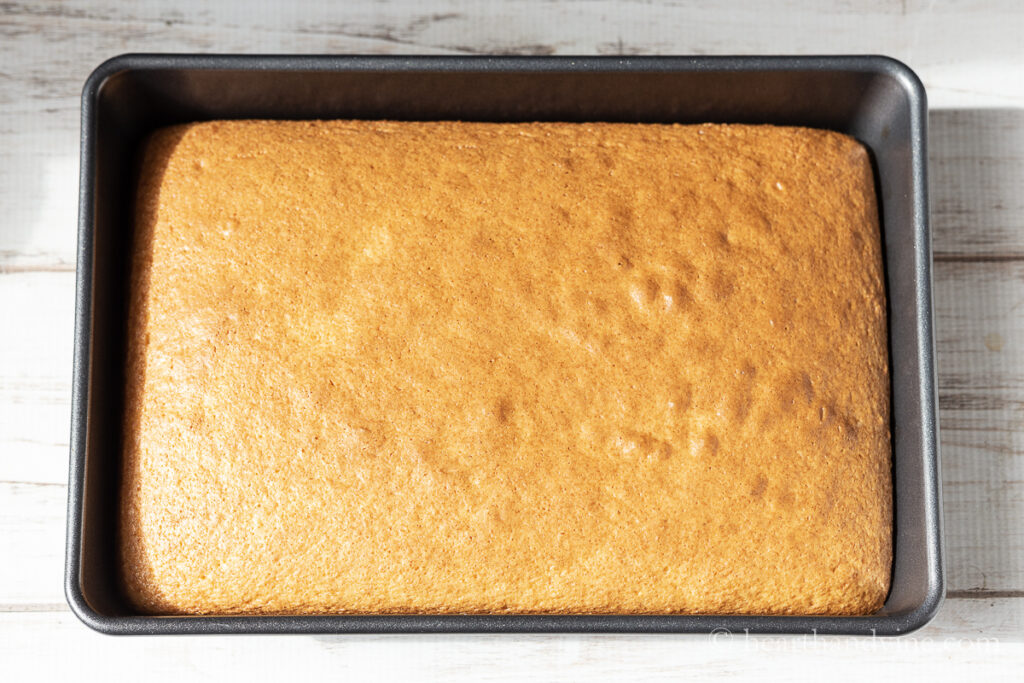 Sheet cake baked in a 9 x 13 pan with no frosting.