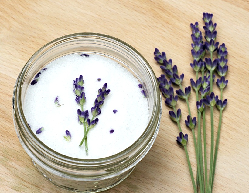 Jar of lavender sugar and fresh picked lavender.