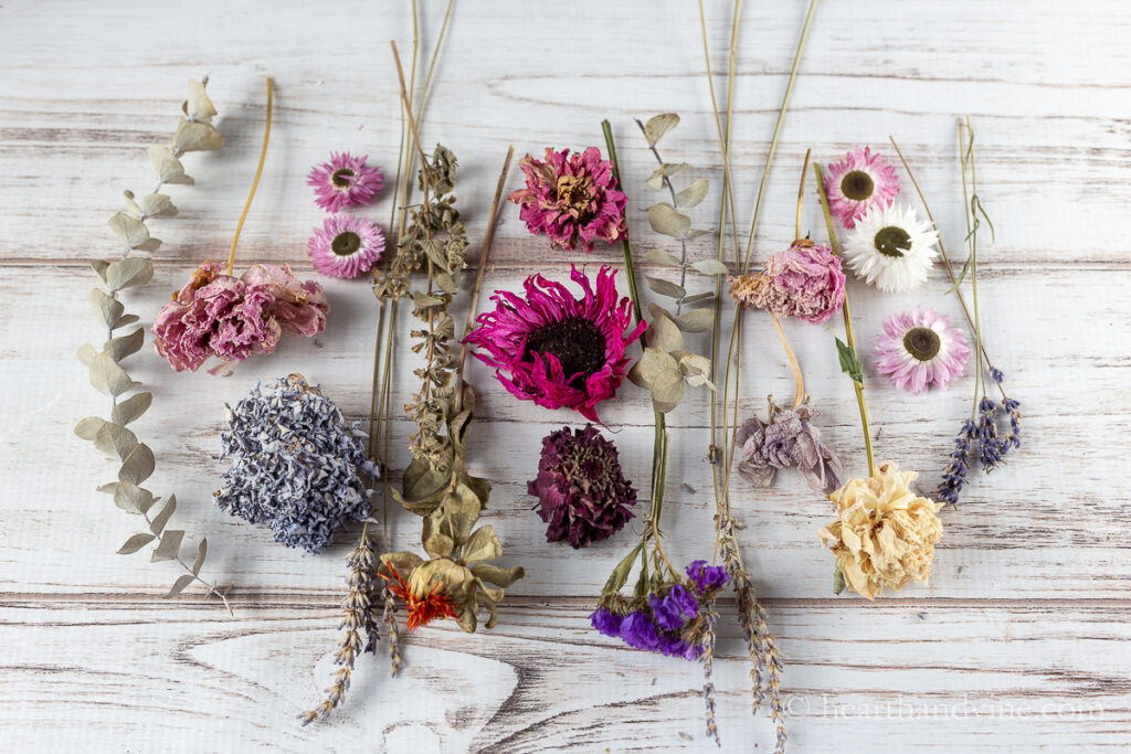 Dried flowers set in a row on a table in a pretty pattern.
