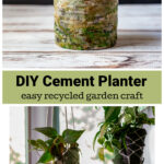 DIY faux cement planter over same planter with a plant inside hanging in a window.
