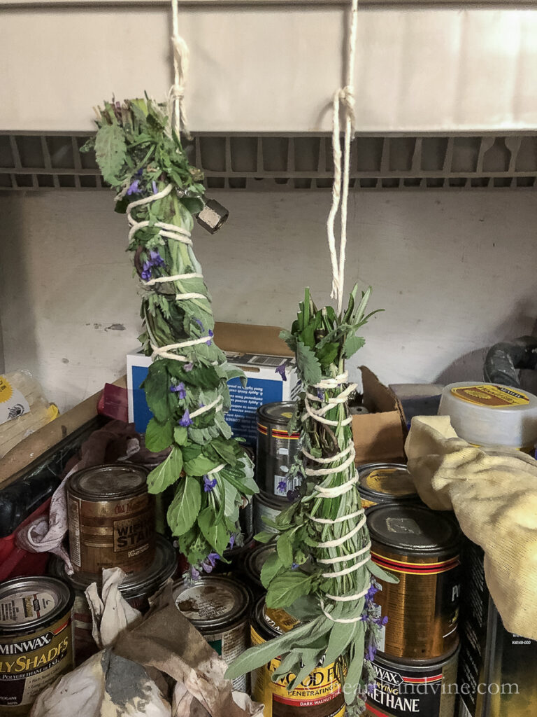 Smudge sticks hanging in the basement to dry.