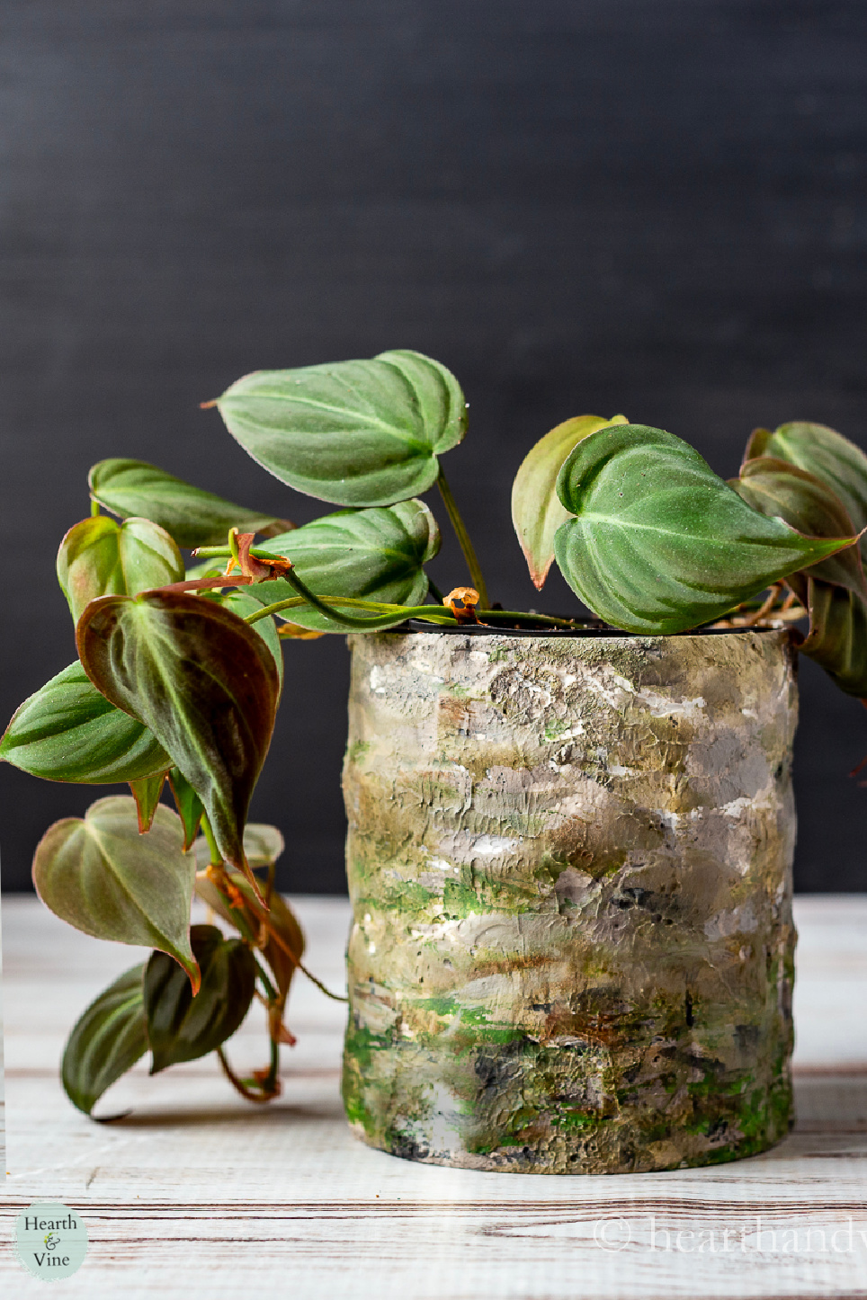 DIY Faux Concrete Planter Tutorial Hearth and Vine