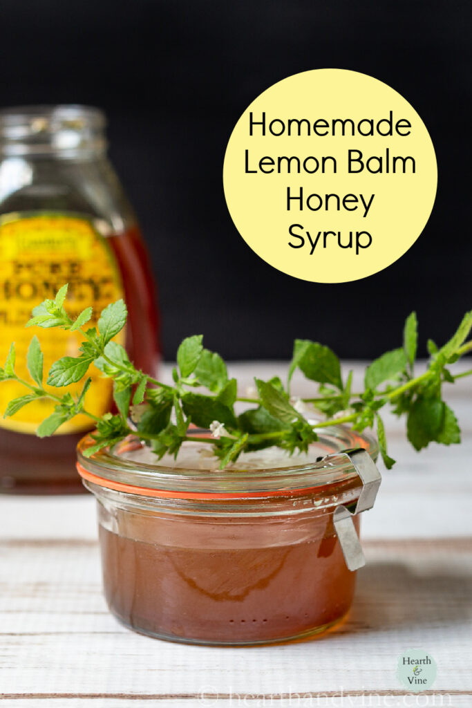 Lemon Balm Plant and Making Lemon Balm Syrup