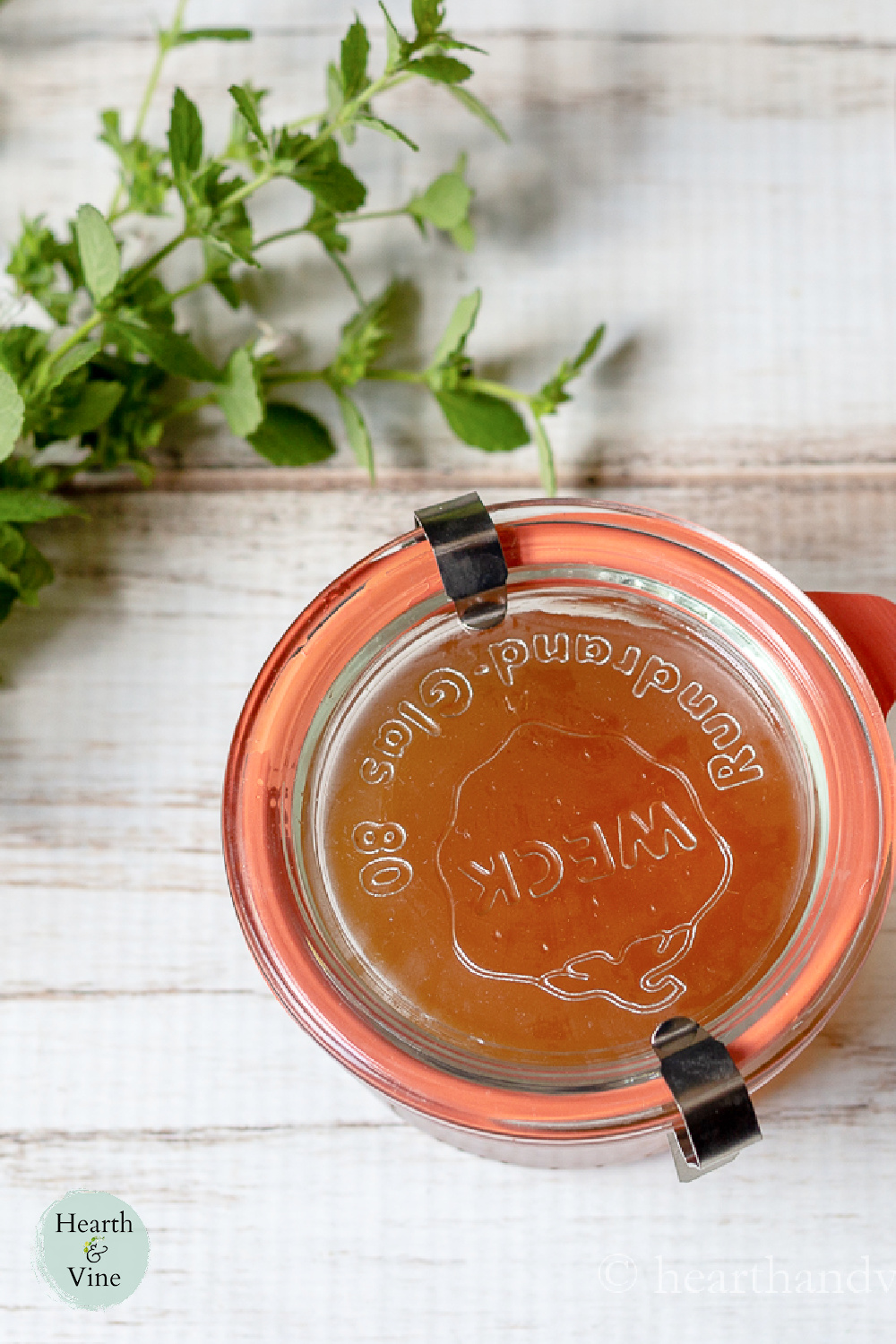 Lemon Balm Plant and Making Lemon Balm Syrup