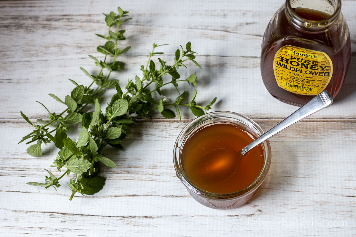 Lemon balm syrup in a jar with a spoon, a few sprig of lemon balm branches and a jar of honey.