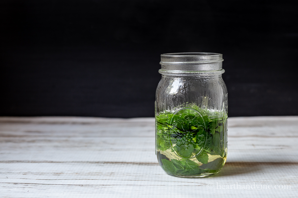 Mason jar with water and lemon balm leaves.