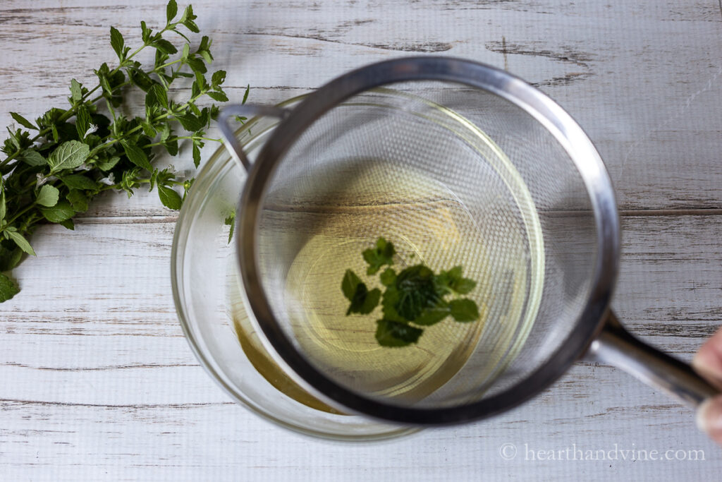 Lemon Balm Plant and Making Lemon Balm Syrup