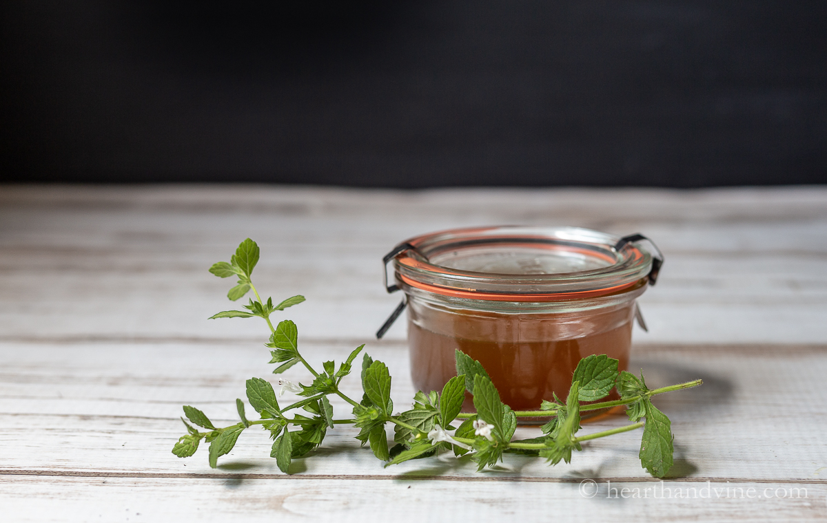 Airtight container with lemon balm syrup and a few branches of flowering lemon balm.