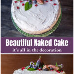 A naked cake aerial view with decorations over the side view.