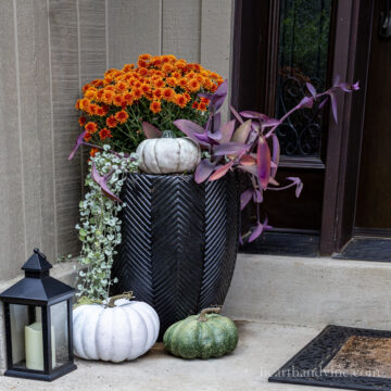 Fall Front Door Decor You Can DIY | Hearth and Vine