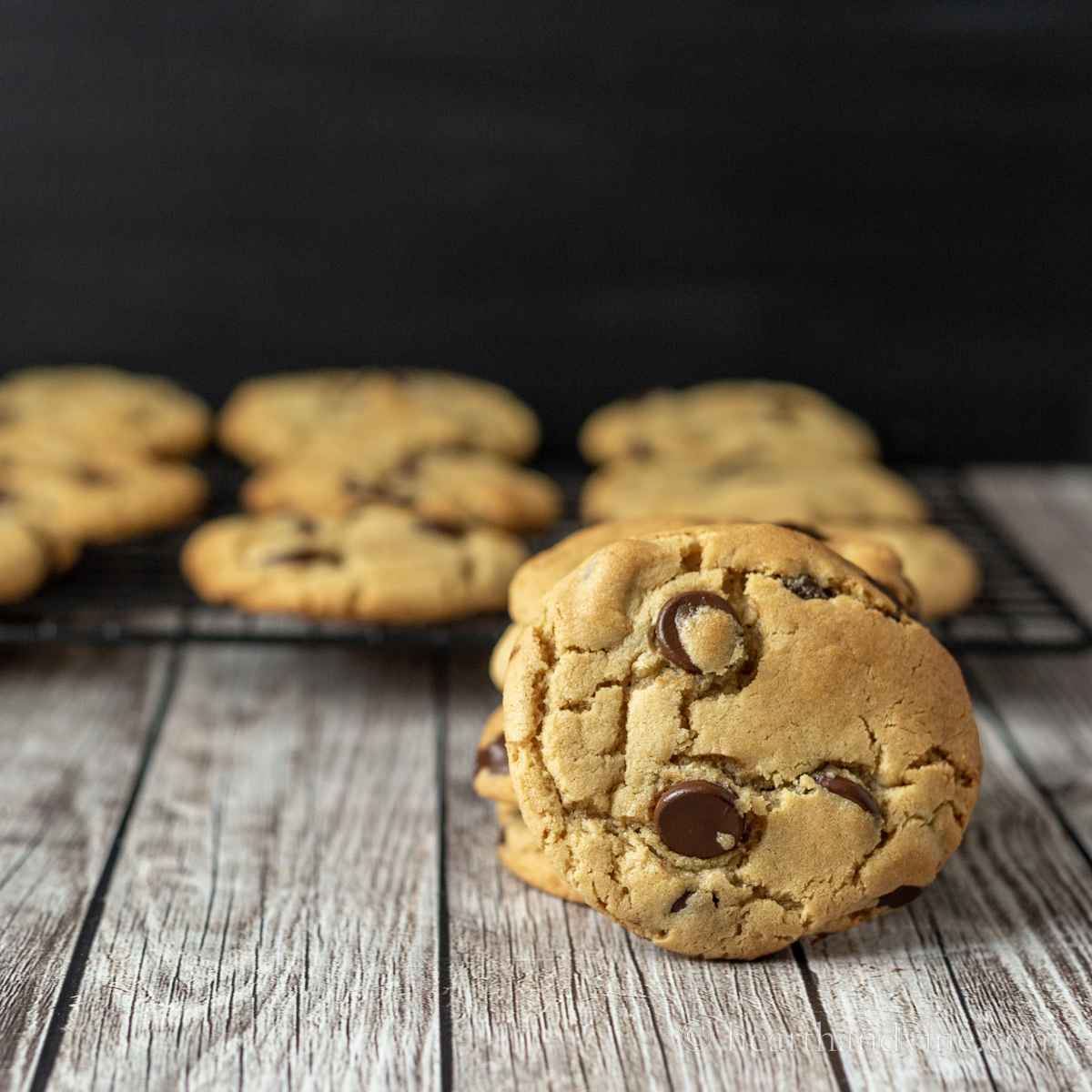 Peanut butter chocolate chip cookie facing forward with a rack of more cookies behind.