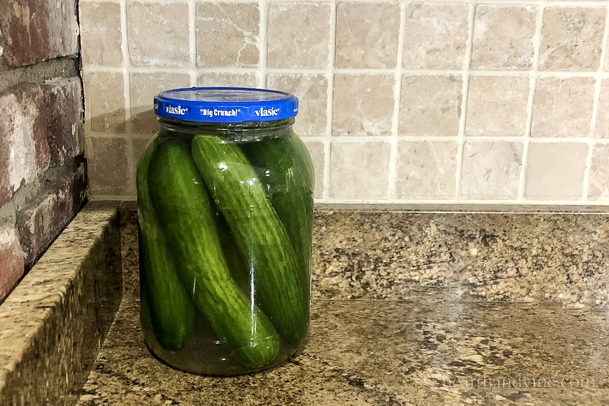 Cucumbers in a jar on the counter fermenting.