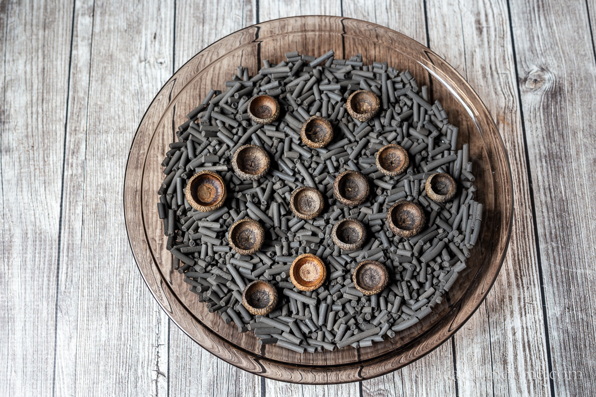 Tops of acorns are set in a pie plate filled with charcoal pellets.