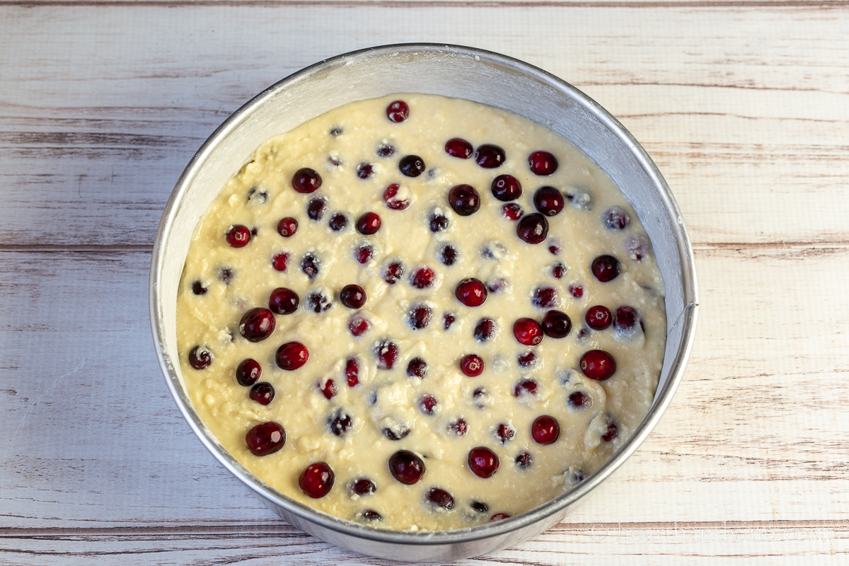Batter in a springform pan with additional cranberries on top.