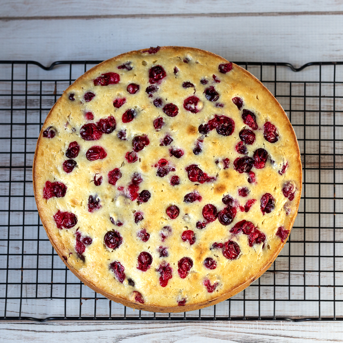 Cranberry ricotta cake on a cooling rack.