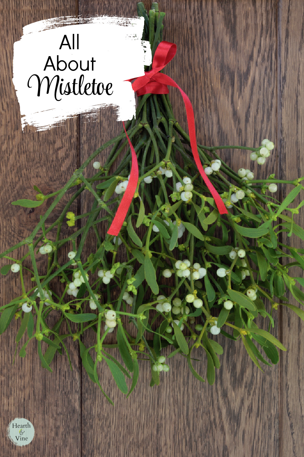 A bunch of mistletoe with berries tied with a red bow.