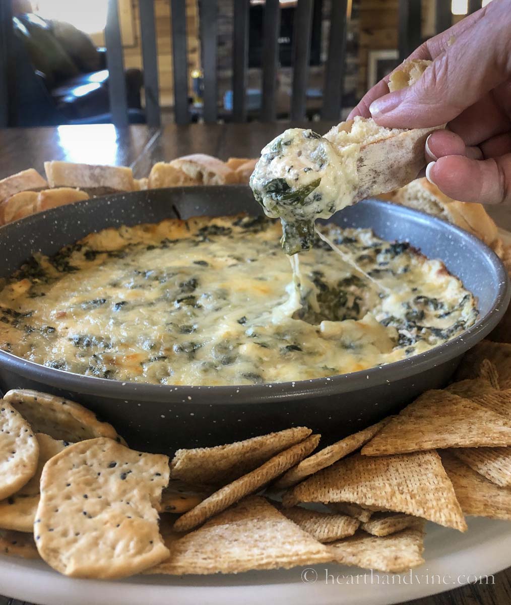 Spinach dip with cream cheese in a baking pan surrounded by cracker and bread with a hand scooping up a bit.