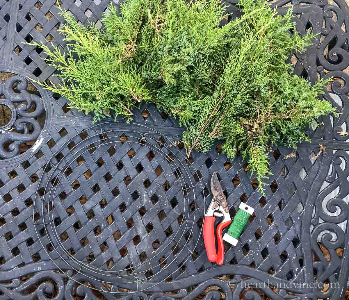 Evergreen wreath supplies including a wire wreath, juniper cuttings, pruners and a florist wire paddle.