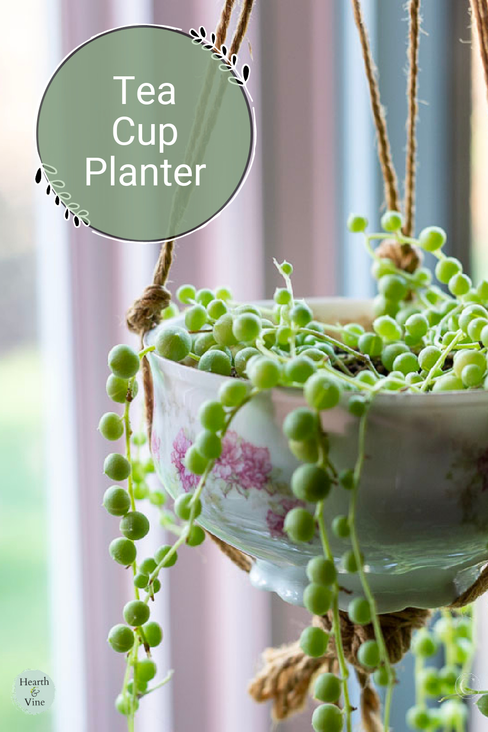A hanging tea cup planter with roses on the cup and a string of pearls planted inside.