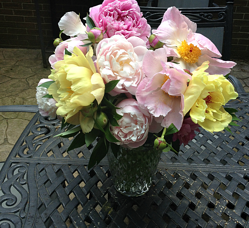 Vase full of different kinds and colors of peony flowers.