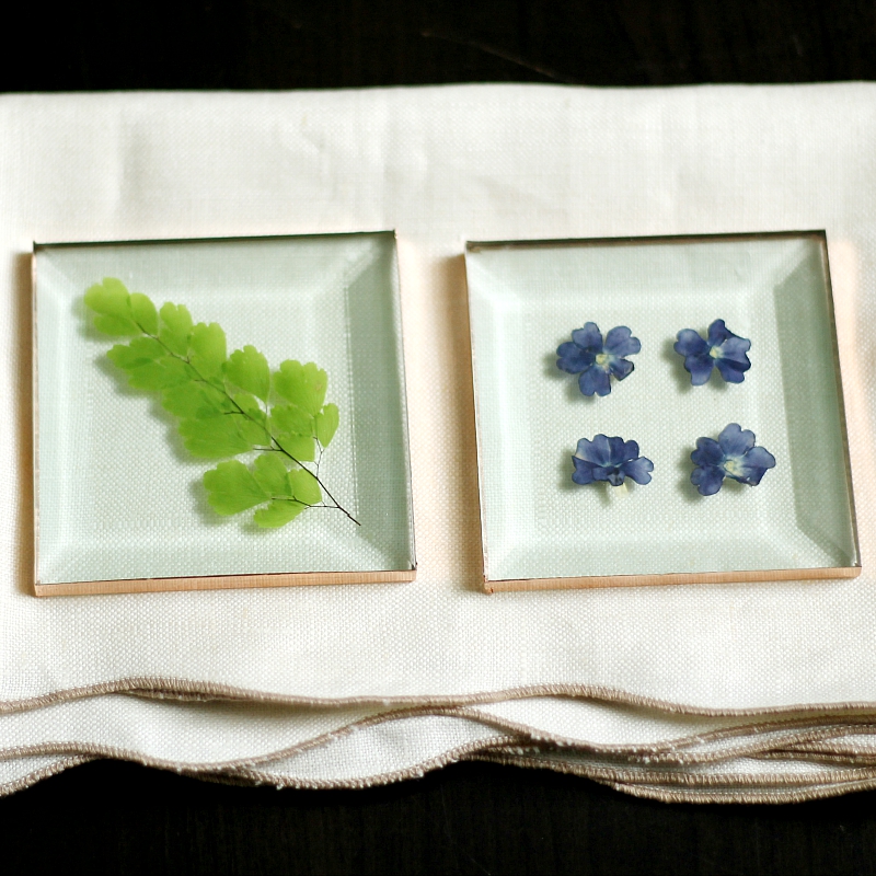 Two pressed flower coasters. One with a maidenhair frond and one with four small purple flowers.