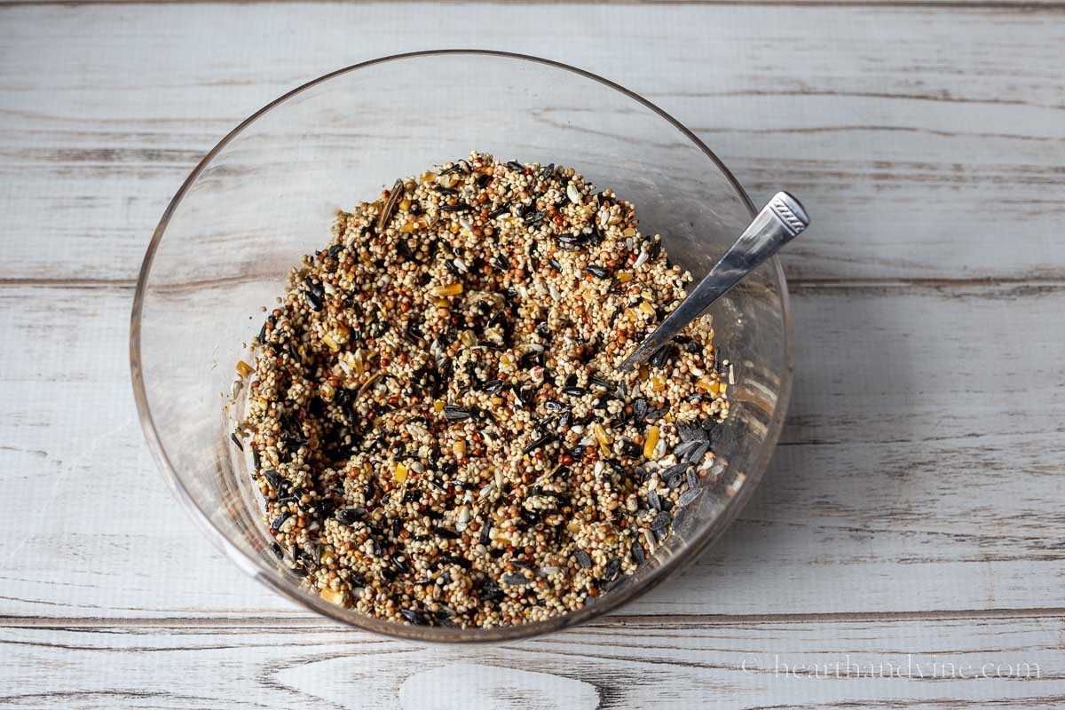 A large bowl of birdseed mixed with gelatin mixture and a spoon.