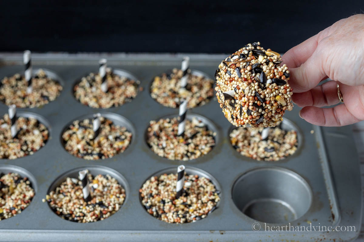 A hand lifting a birdseed cake out of the muffin tin by the straw.